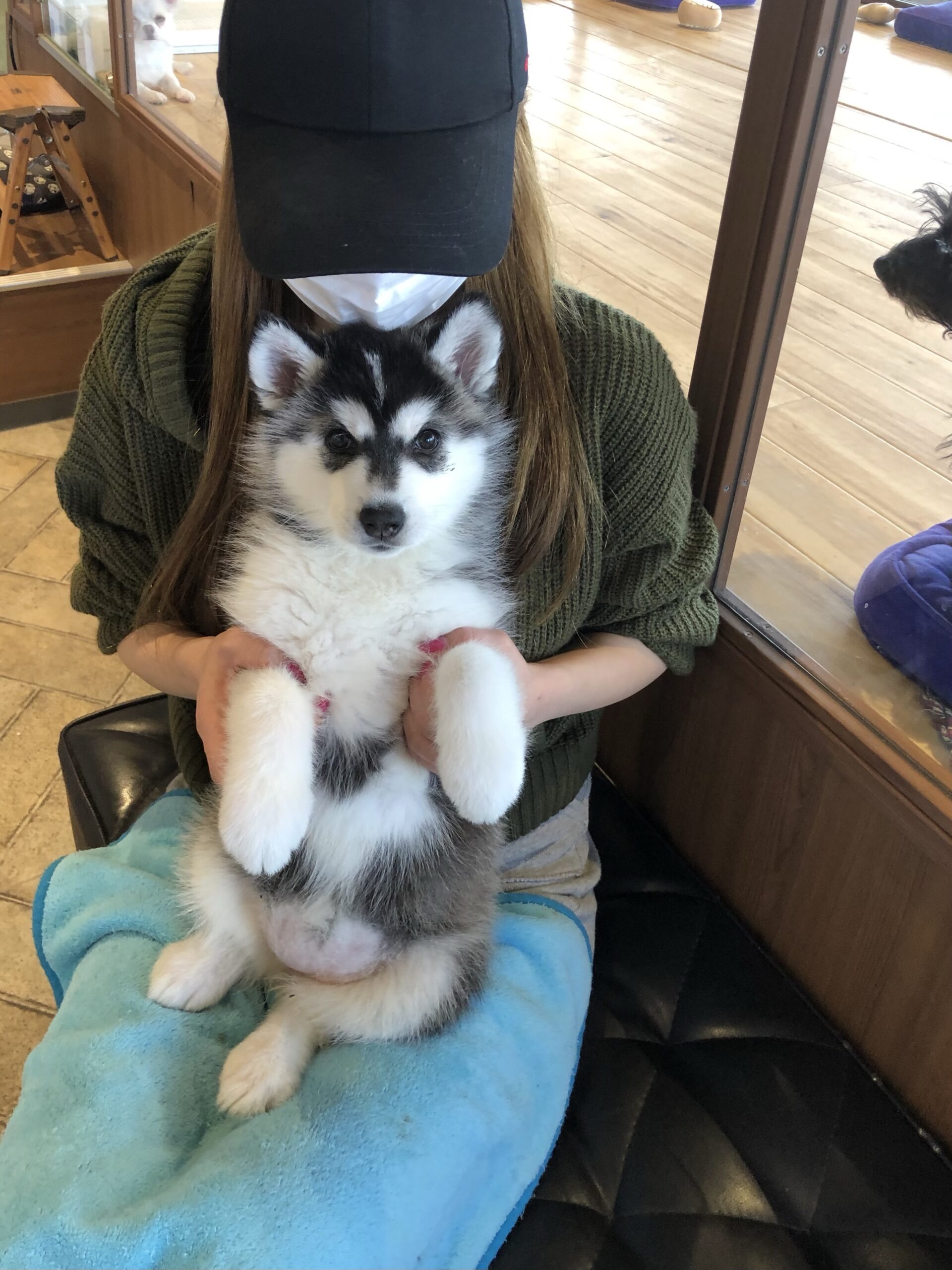 札幌 アメリカ屋漁具 移転 釣りmomo日記