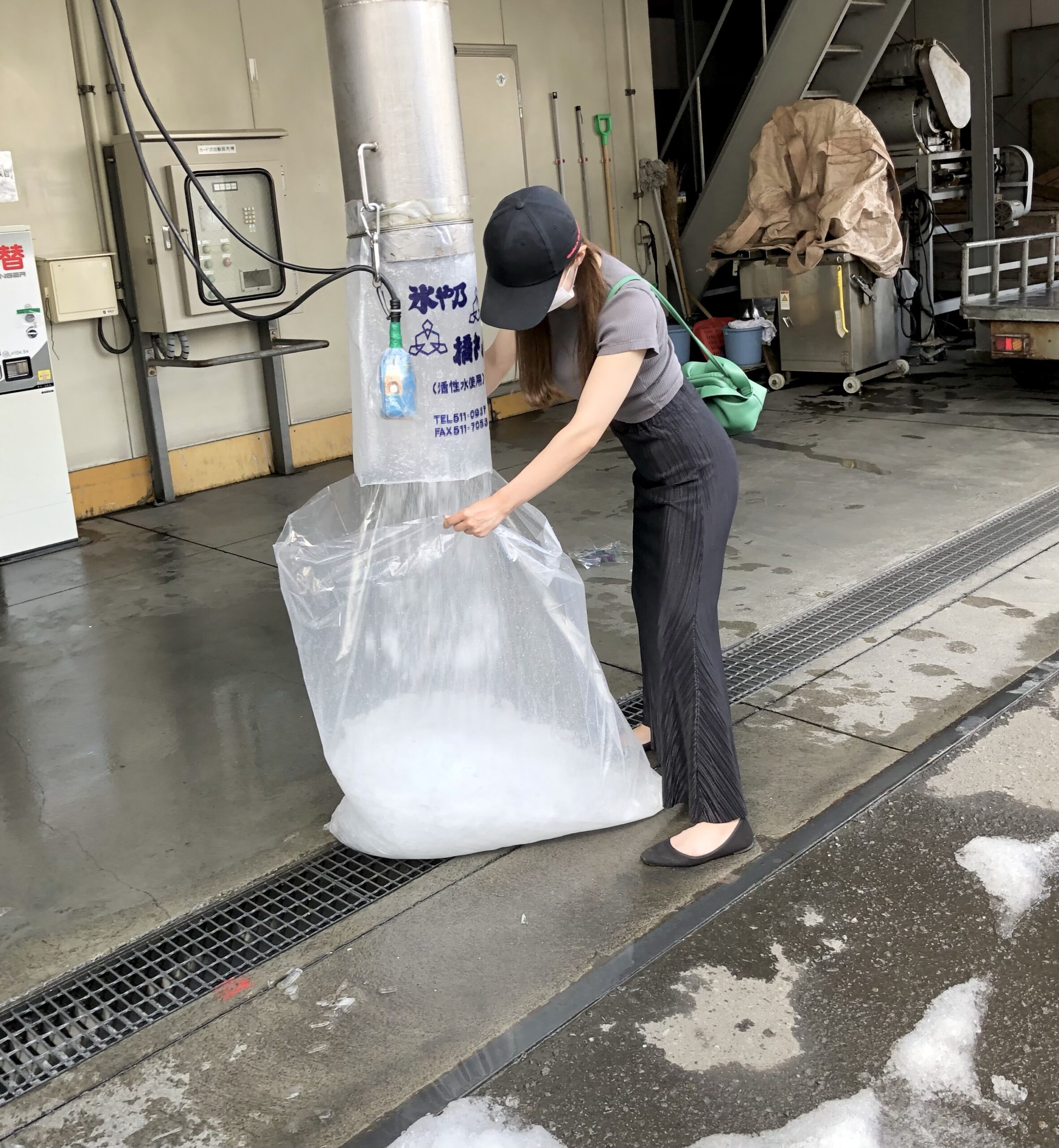 釣った魚の持ち帰りに必要な「氷」 | 釣りMOMO日記