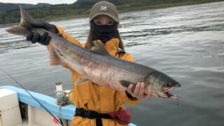アキアジ（鮭） | 釣りMOMO日記