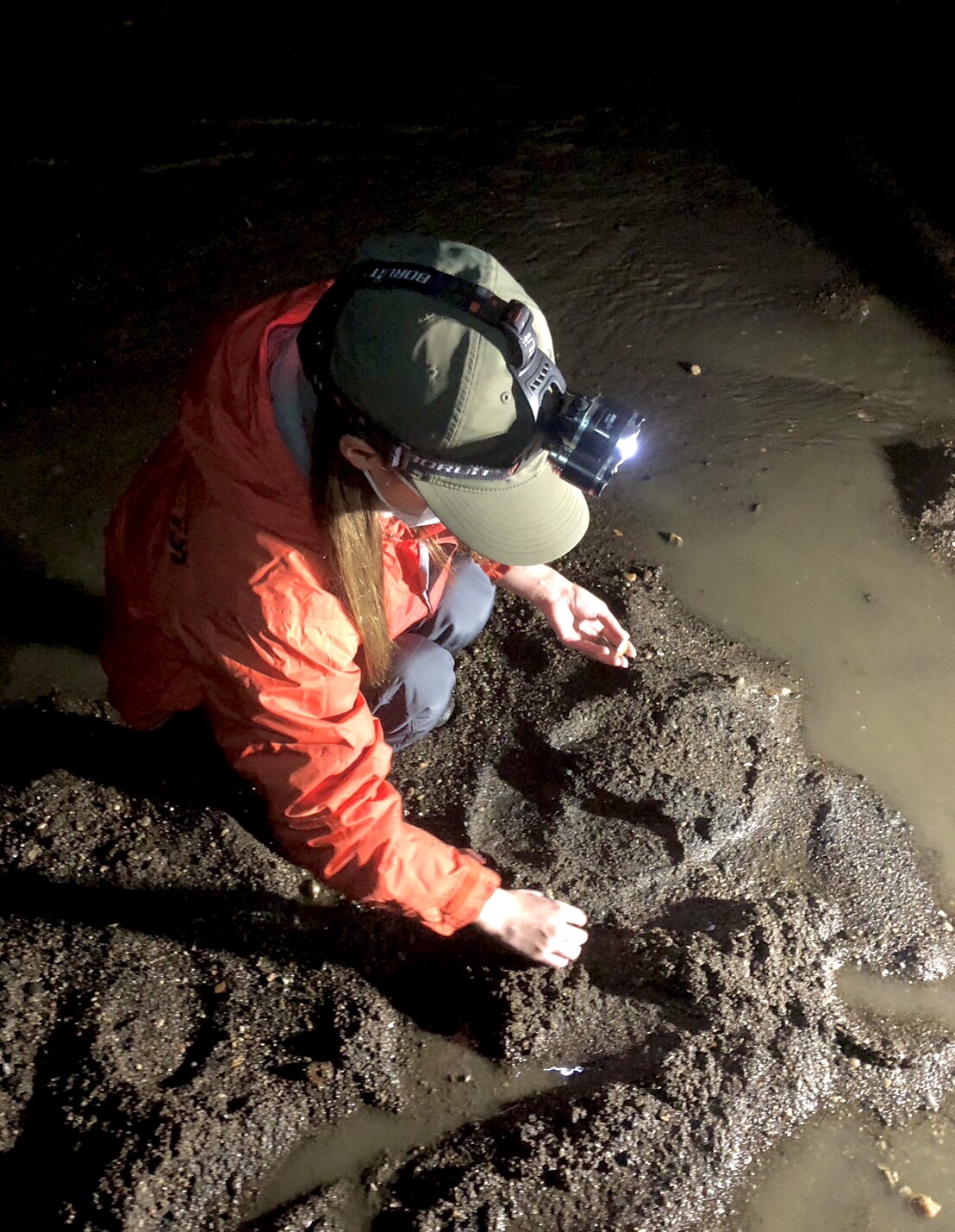 夜間あさり潮干狩り 苫小牧 2022.10.28 | 釣りMOMO日記