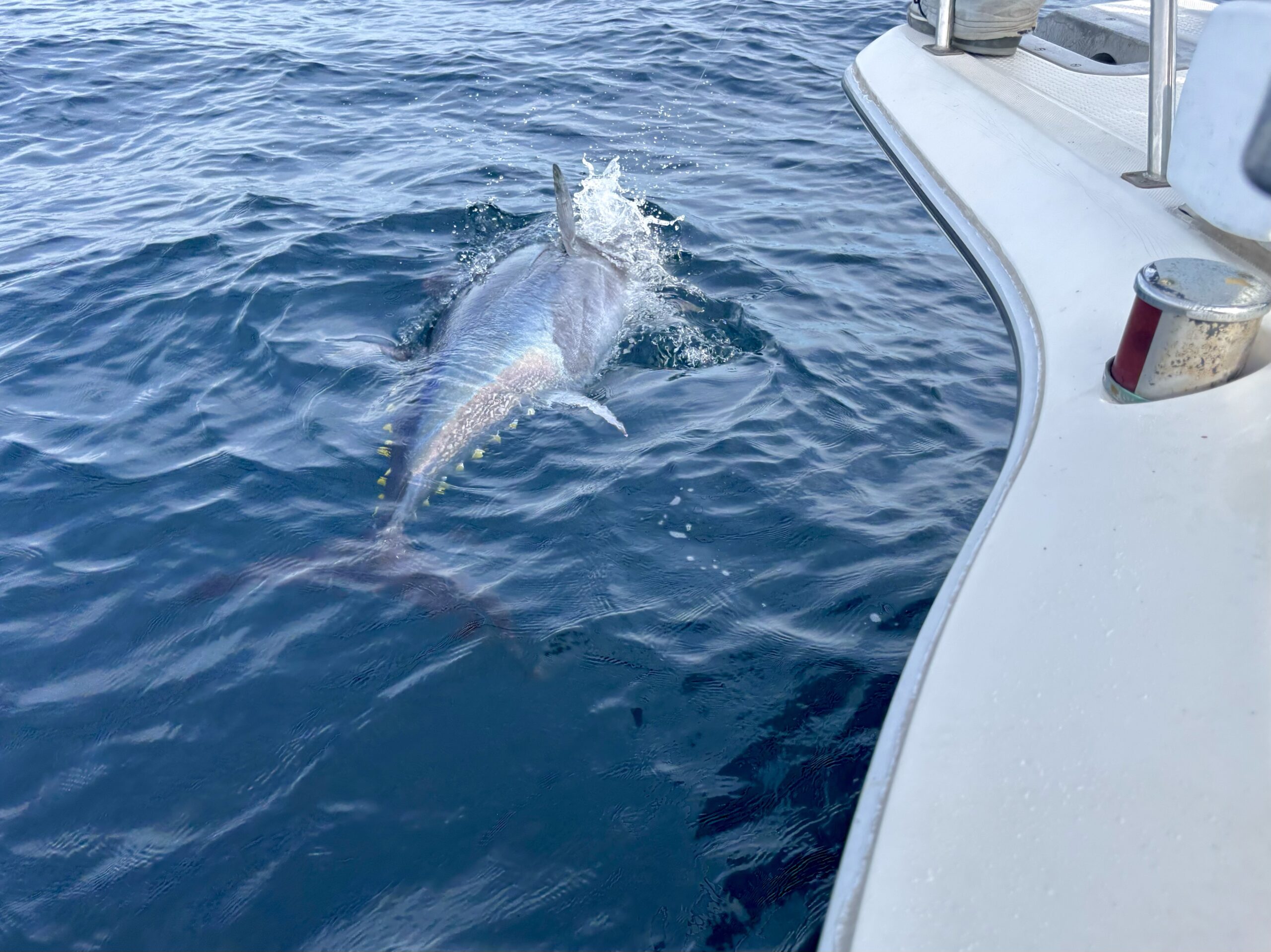 マグロキャスティング 苫小牧 2024.10.06 | 釣りMOMO日記